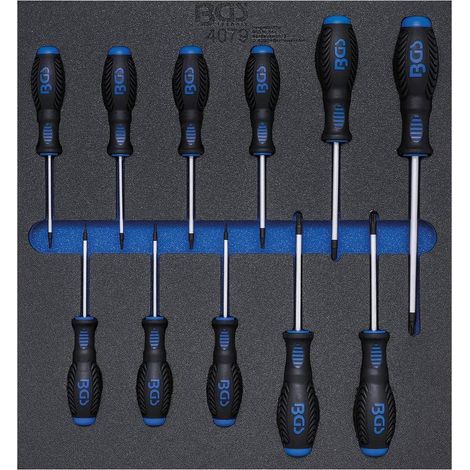 Insert de Servante d Atelier 11 pcs - Tournevis Profil T Torx T6-T40 - Organisation et Accessibilité Optimale - D-Work