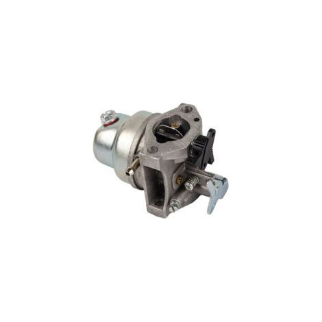 LAN Rasenmäher-Ersatzteile, Vergaser 16100Z0L023, kompatibel mit Honda GCV160 HRB216 HRS216 HRR216 HRT216 HRZ216, Vergaser mit Dichtungen, Kraftstofffilter (1/5)