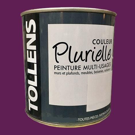 TOLLENS Peinture acrylique multi-usages 'Couleur Plurielle' satin Palpitante 0,5 L (1/2)