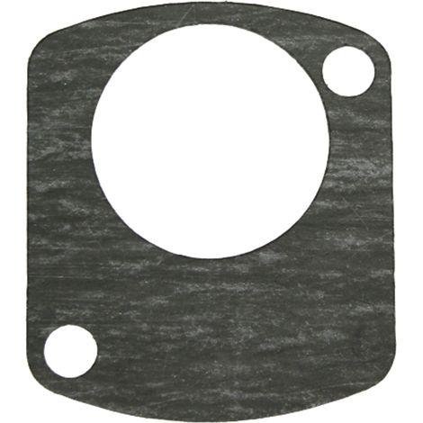 Guarnizione 16861011020 FendtMassey Ferguson