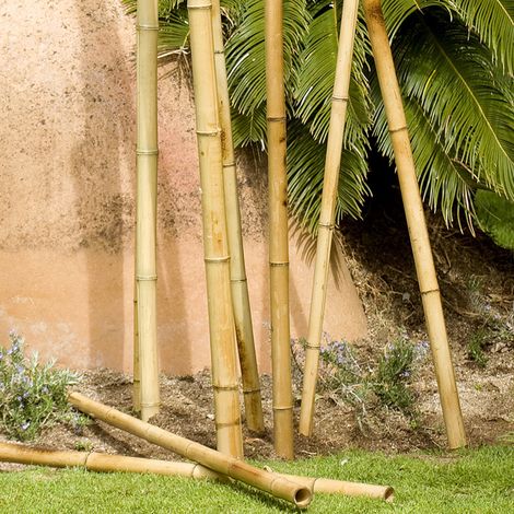 TUTOR DECORATIVO BAMBOO DECO 35-40 MM 1.8 M NORTENE (1/3)