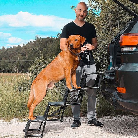Hofuton Escalier Pliable pour Chien – Aide à l'entrée du Chien Qui ménage Les articulations Échelle Portable pour Coffre de Voiture Rampe Pliable pour Grands et Petits Chiens – Noir