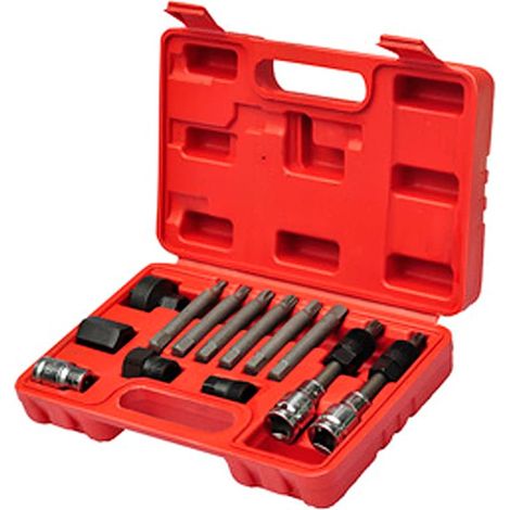 vidaXL Kit de herramientas para alternador para coche (1/2)