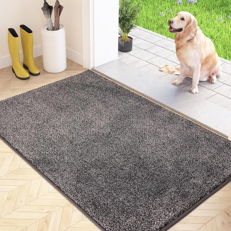 Paillasson Attrape-Poussière, Tapis de Sol Antidérapant Lavable en Machine, Tapis d'Entrée avec Microfibres Douces Absorbantes pour Chien, Entrée, Porte et Couloir (1/5)