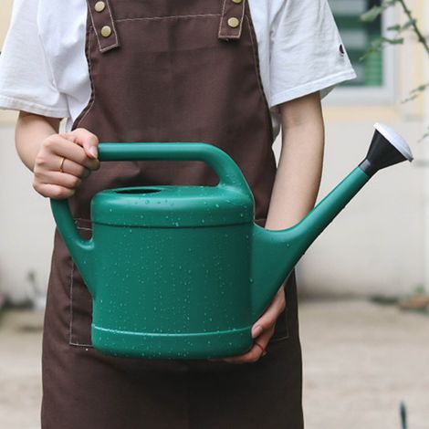 Arrosoir - Plastique Résistant - Bec Allongé - Pour Intérieur Extérieur Jardin Bonsaï - Capacité 3 L (1/5)