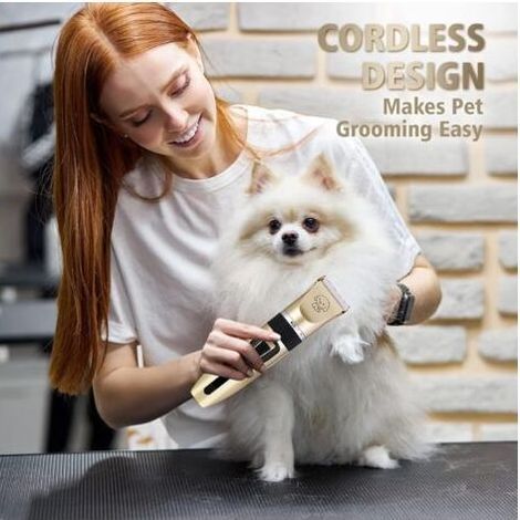 Tondeuse Chien Professionnelle, Tondeuse à poils d'animaux, tondeuse à cheveux avec câble USB rechargeable et silencieuse pour chiens et chats grands/longs/courts/frisés (1/4)