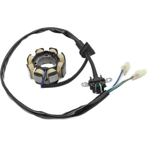 Bobine d'allumage de moto Bobine de Stator magnétique pour moto, pour CRF250 CRF250R CRF450R (1/5)