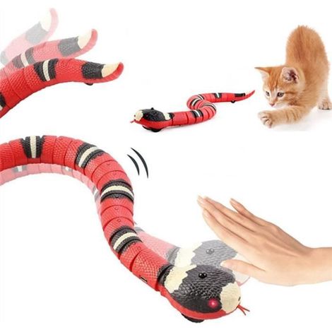 Jouet Serpent - ZGEER - Jouet en Plastique - Interactif - Pour Chats - Intérieur (1/4)