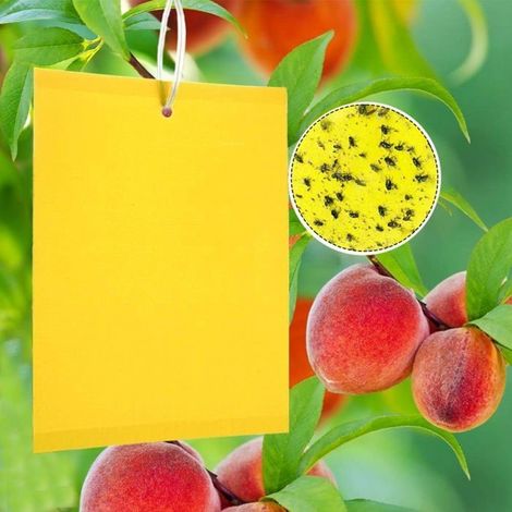 Lot de 50 autocollants attrape-mouches Yellow Boards piges insectes collants jaunes parfaits contre les couleurs multiples