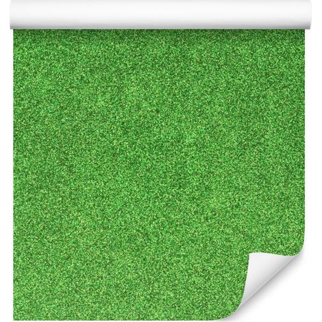 Papier peint vert pailleté, fond vert pour salon et chambre 50x1000 cm (1/5)