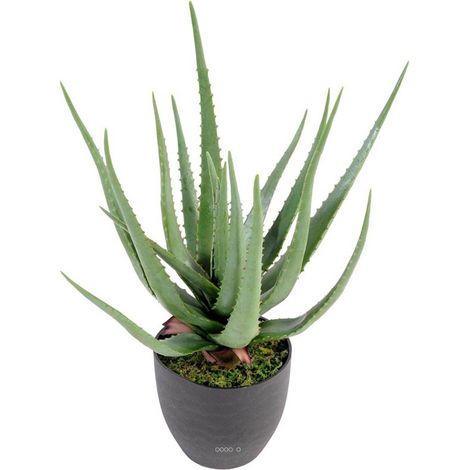 Aloé Vera artificiel H 60 cm cactus plante grasse en pot pvc