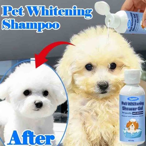 Premium White Pet Whitening Shampoo hellt das Fell auf, stellt die natürliche Weißheit wieder her, reinigt gründlich, desodoriert, hinterlässt einen angenehmen Duft und macht das Fell flauschig. (1/5)