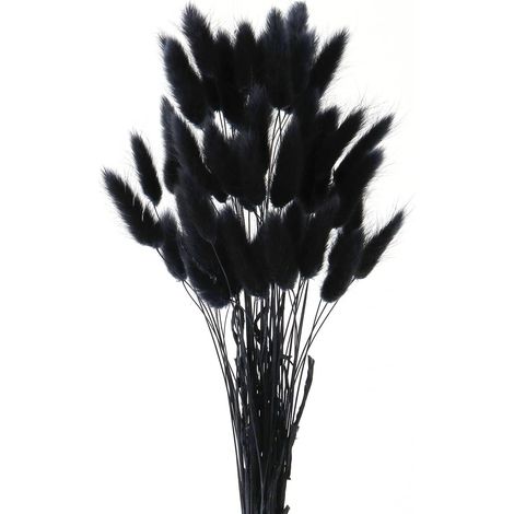 50 Herbe de la pampa, 40 cm, naturel séché, décoration mariage, salon, vase