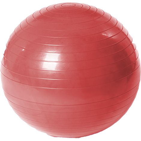 Ballon d'exercice extra épais de qualité professionnelle pour l'équilibre et la stabilité - Pompe manuelle incluse (1/5)