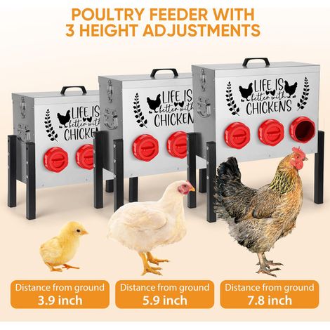Mangeoire à volailles 30LB, distributeur automatique de nourriture pour poules, oies et canards avec 3 hauteurs réglables