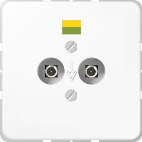 Jung Potential-Ausgl.Steckdose 2 Steckerstifte CD 565-2 WW (1/2)