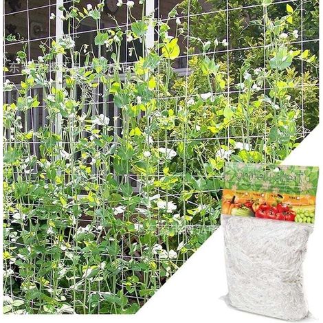 (1,67m x 5 m)Filet pour Plantes Grimpantes, Grande Maille Filet Tuteur, Grimpante en Polyethylene Filet de Treillis, pourTomates, Raisins, Concombres, Autres Fruits et Légumes, Blanc (1/4)