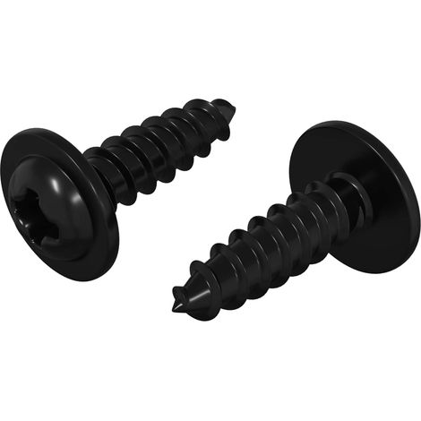 Self Tapping Nail 2 pcs Black 3.5 x 12 mm Iron vidaXL