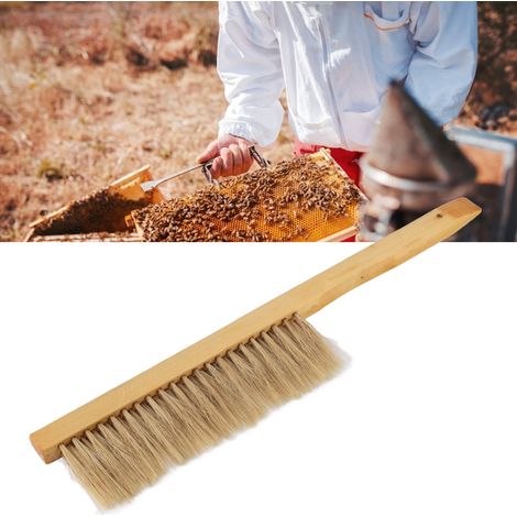 Outils apicoles, notamment des brosses à abeilles en soies de porc à manche en bois, des brosses à abeilles de haute qualité et des outils répulsifs à abeilles. (1/5)