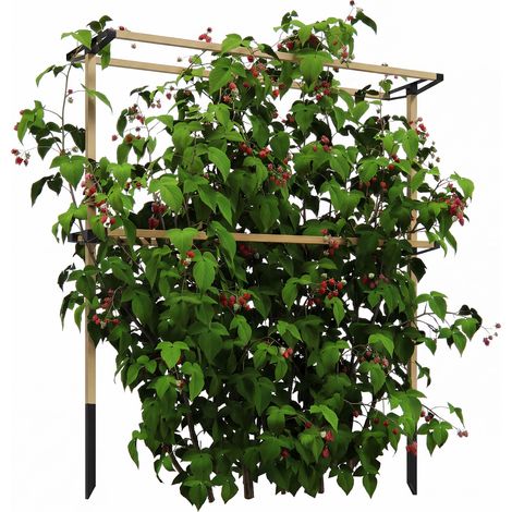 Flexibles Metall-Gartenspalier für Beeren: Himbeeren, Brombeeren & Blaubeeren – Erweiterbares Spalier