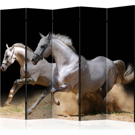 Paravent 5 Volets "Galloping Horses on the Sand" 172x225cm (1/2)