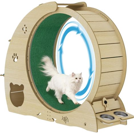 Katze Trainingsrad, Multifunktionales Design, Leiser Betrieb, 02 (1/2)
