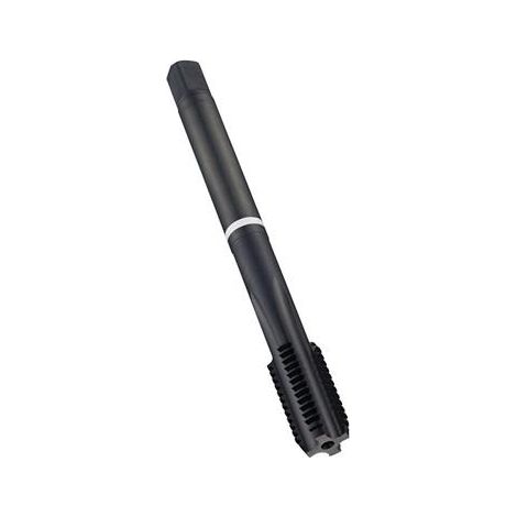 Fraise à filetages machines DIN 376C E252 M8x1,25mm HSS-E-PM vapeur.2XD 6HX (1/3)