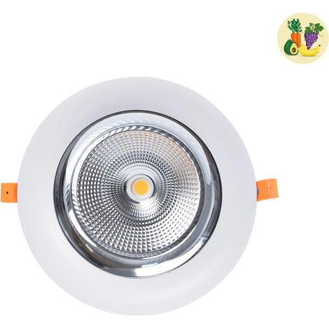 Downlight LED Especial Para Frutas Y Verduras - 40W - Driver