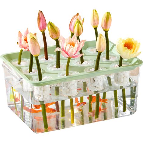 Acuario hidropónico transparente con tapa y 12 macetas – ideal para balcón y jardín, para mantener peces de colores – tanque de plástico resistente (1/2)