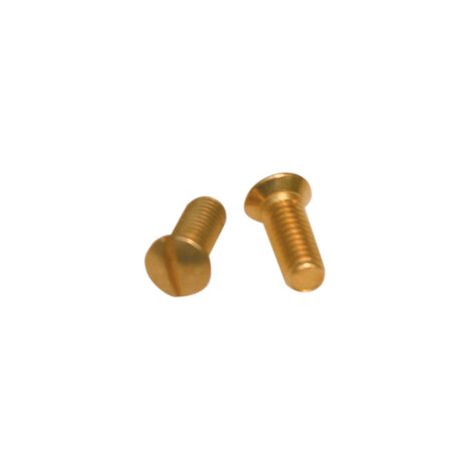 VITE OTTONE P/COPRINTERRUTTORE CF 10 PZ