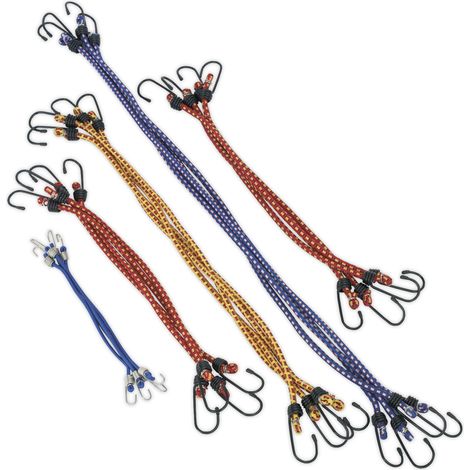 Sealey Bungee Cord Set 20pc BCS20 (1/2)