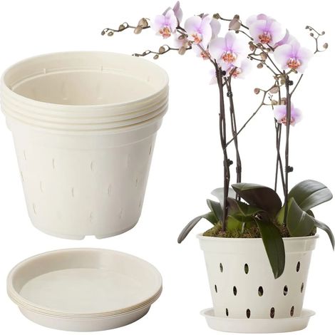 Ensemble de 5 pots à orchidées, pots à orchidées et (1/5)