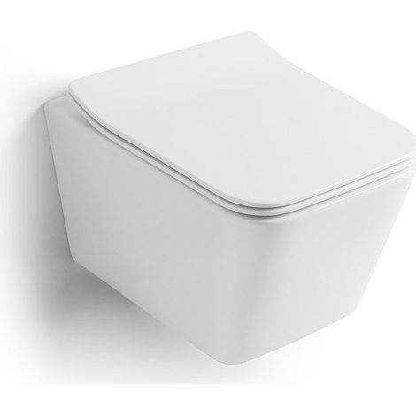 Spülrandlose Wc-Kombination Mit  Toilettensitz Mit  Absenkautomatik  Rock