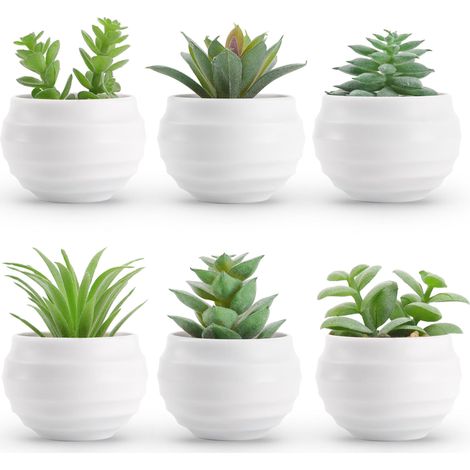 Juego de 6 Suculentas Artificiales en Maceta, Mini Plantas Decorativas para Dormitorio, Salón, Oficina y Estantería (1/5)