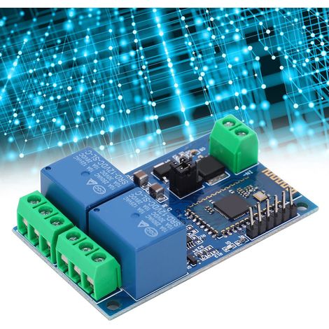 Relais Bluetooth double canal DC12V avec application mobile IoT et commande à distance (1/5)