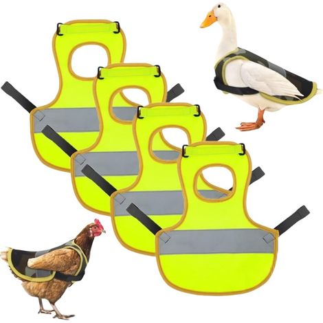 Gilet Réfléchissant pour Poulets, Canards et Oies - Protection et Sécurité (1/4)