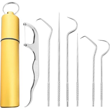 1 Ensemble instruments dentaires, acier inoxydable 304, crochet dentaire, outil nettoyage, portable, hygiène bucco-dentaire