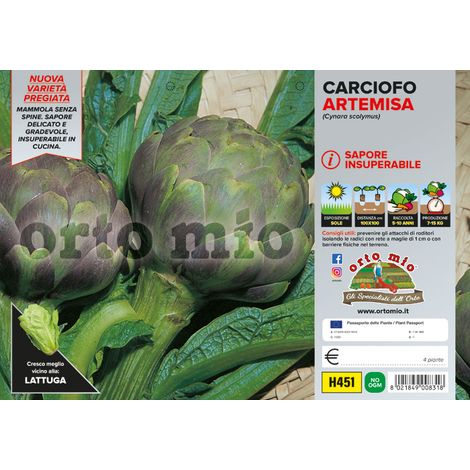 ORTO MIO Carciofo Romanesco rifiorente var. Artemisa F1 (1/5)