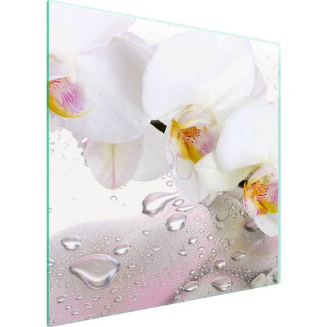 PLAQUE DE PROTECTION EN VERRE POUR POÊLE 50x52 ORCHIDÉE (1/5)