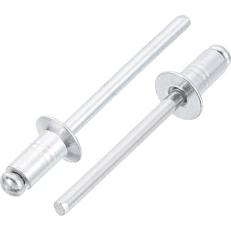 50 Pièces 4.8 x 9.5 mm Rivets Aveugles En Aluminium, Prise En Aluminium Et Mandrin En Acier, Rivets Fendus À Tête Fraisée Pour Métal, Meubles, Argent (1/5)