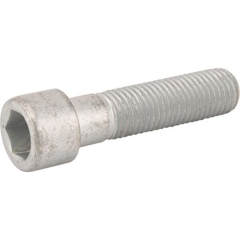 Vite testa cilin M16x65-8.8 DI LEMKEN 3016025