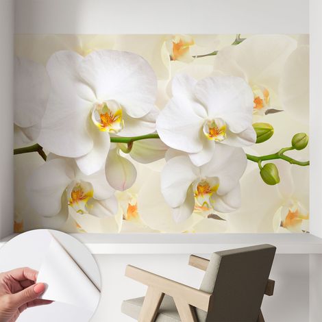 Papier peint autocollant adhésif avec imprimé motifs uniques apparence moderne Richesse florale 104x70 cm (1/5)