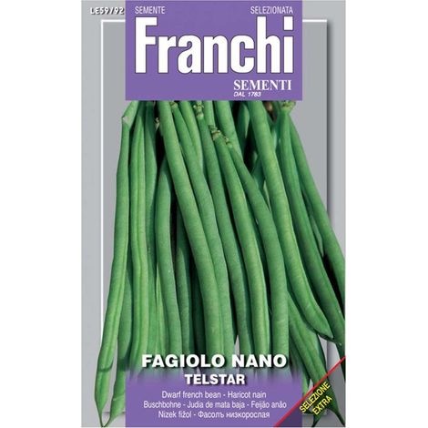 SEMI FAGIOLO NANO TELSTAR FRANCHI SEMENTI