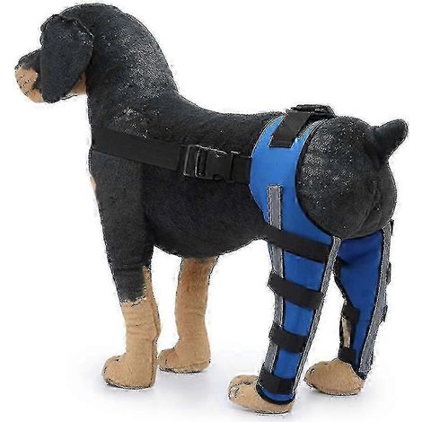 Hinterbeinstütze für Hunde – Verbesserte Stabilität und optimaler Komfort für Haustiere (1/5)