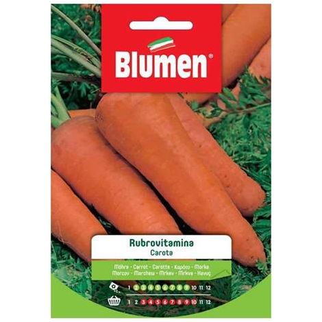 Semi Blumen semi carota rubrovitamina (1/2)