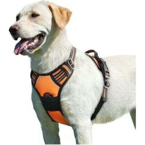 Harnais pour chien orange, taille L, harnais anti-traction réfléchissant réglable, facile à porter, avec poignée de contrôle, respirant et durable, harnais pour chien de taille moyenne. (1/4)