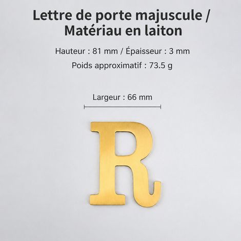 Lettre R de porte en laiton massif mat adhésif pour extérieur 8 cm t4911-8cm 8 × 6,6 × 0,3 cm 73 g – Livraison gratuite