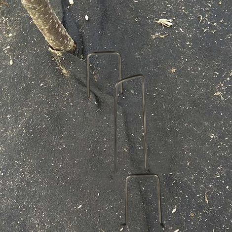 Clou de Fixation Métal, Staple Black 6'', 20 Pièces pour Jardin, Terrain et Équipement (1/5)