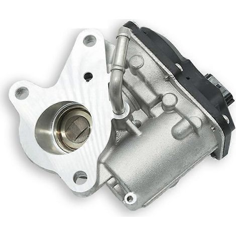 Valve de recirculation des gaz d'échappement pour voiture (1/5)