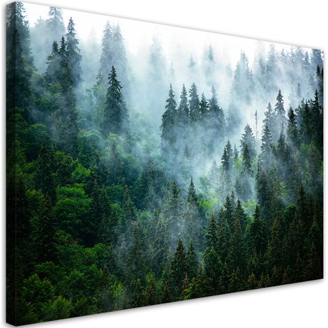 Quadro su tela, Foresta nella nebbia - 120x80 (1/5)